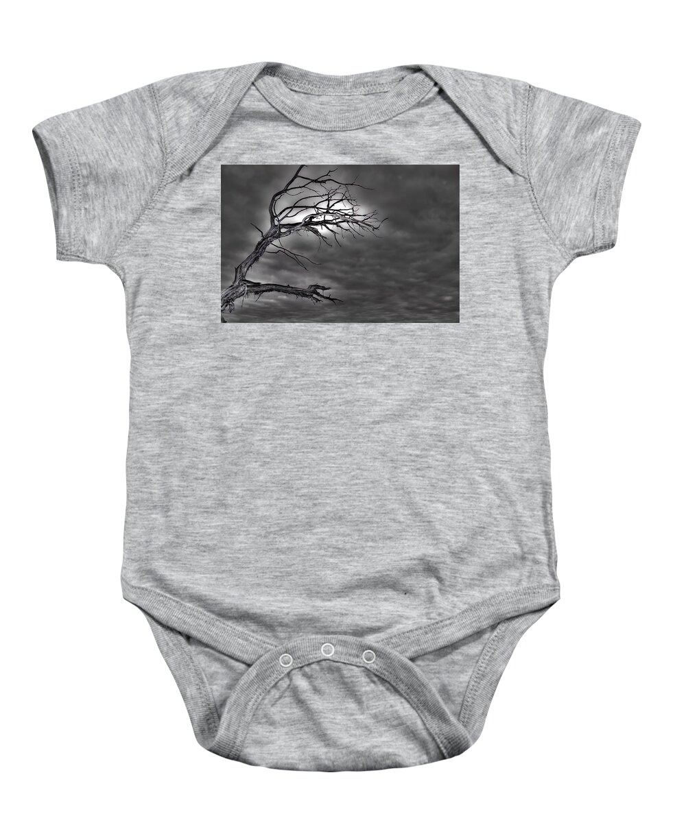 Branches Baby Onesie featuring the photograph Reaching by DArcy Evans