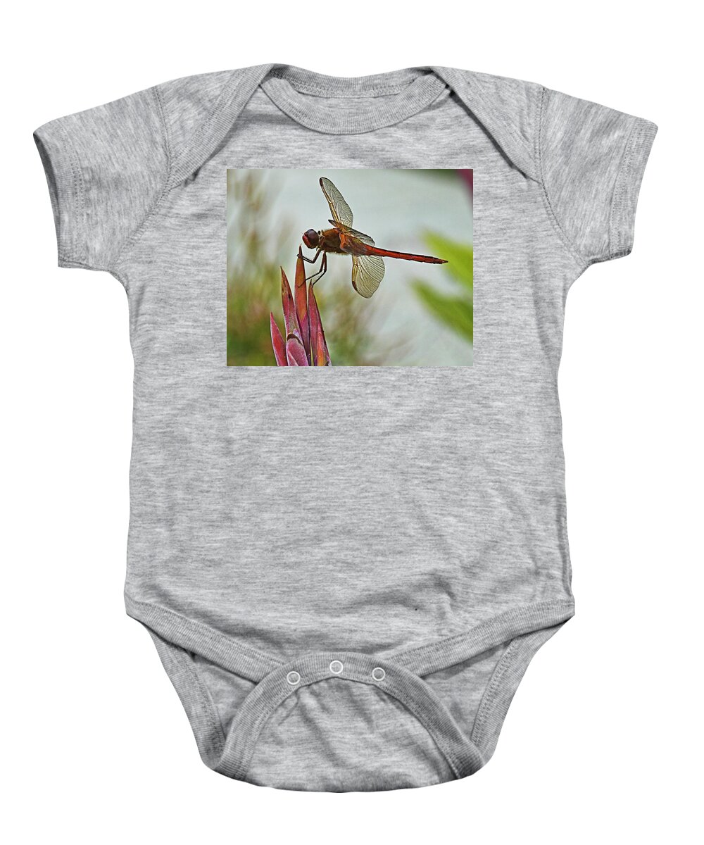 Dragonfly Baby Onesie featuring the photograph Ready for takeoff by Bill Barber
