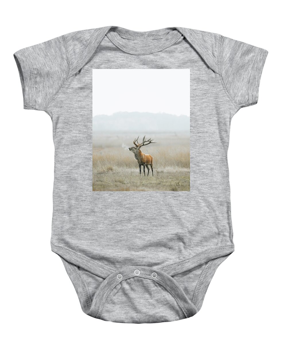 Forest Baby Onesie featuring the photograph Red deer on a cold foggy morning. by Patrick Van Os