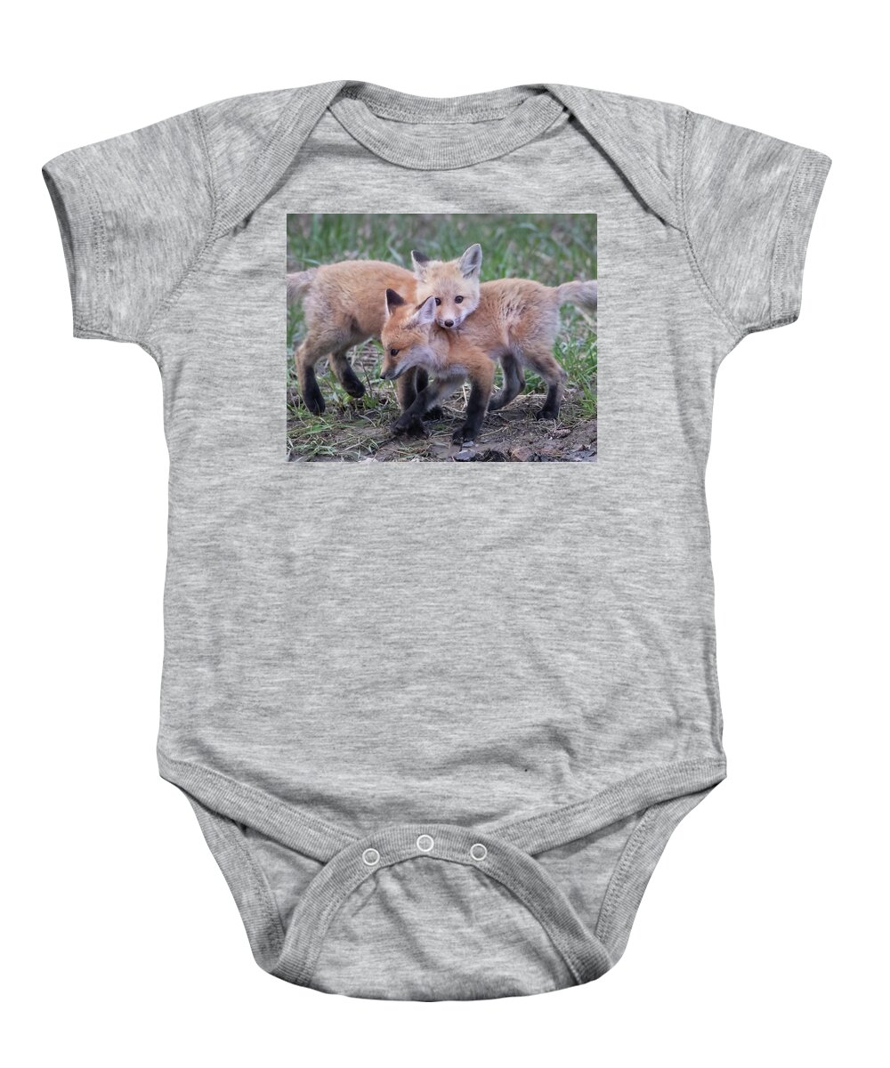 Fox Baby Onesie featuring the photograph Red Fox Kits Playing by Mark Miller