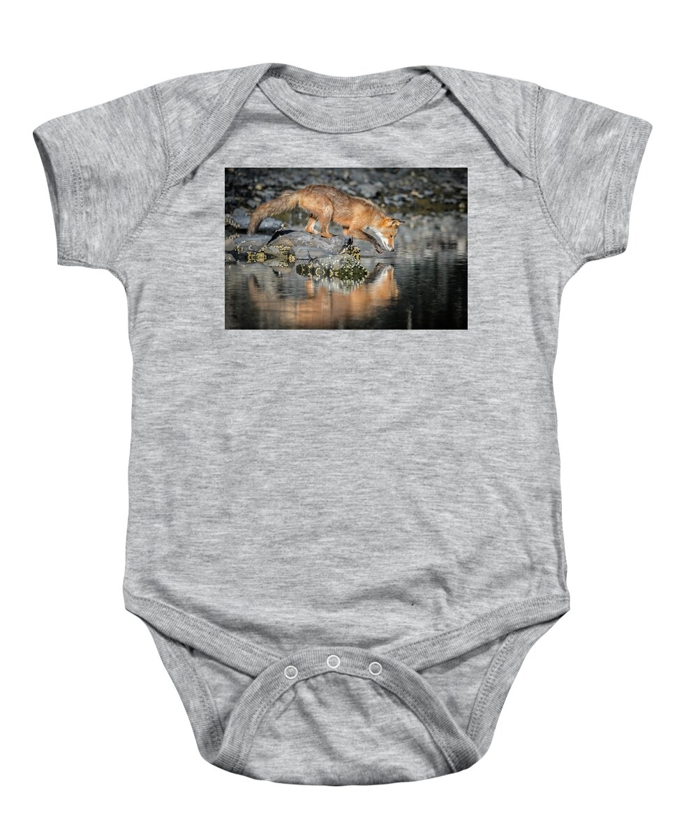 (vulpes Vulpes) Baby Onesie featuring the photograph Red Fox Reflection by James Capo