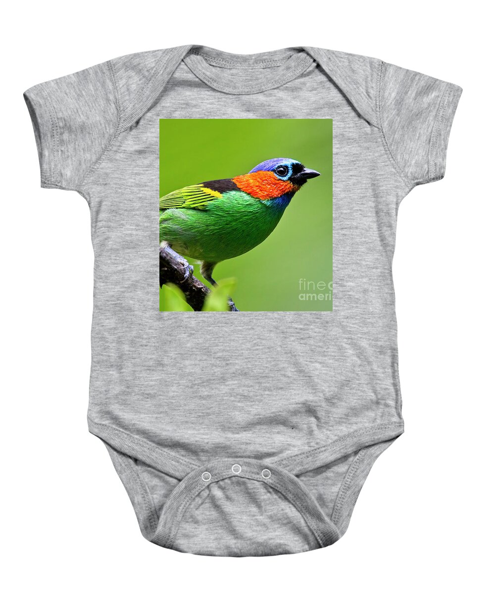 Red-necked Tanager Baby Onesie featuring the photograph Red-necked Tanager, Tangara cyanocephala by Tony Mills