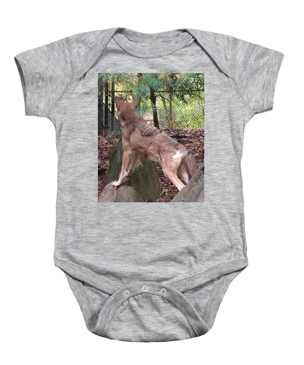 Wolf Baby Onesie featuring the photograph Red Wolf Asheboro NC Zoo by Kim Galluzzo
