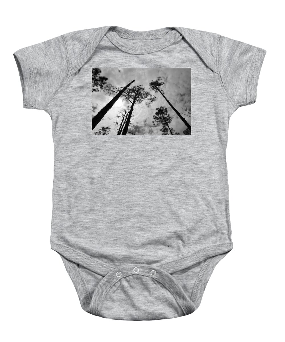 Tree Baby Onesie featuring the photograph Regenerate by Lizette Tolentino