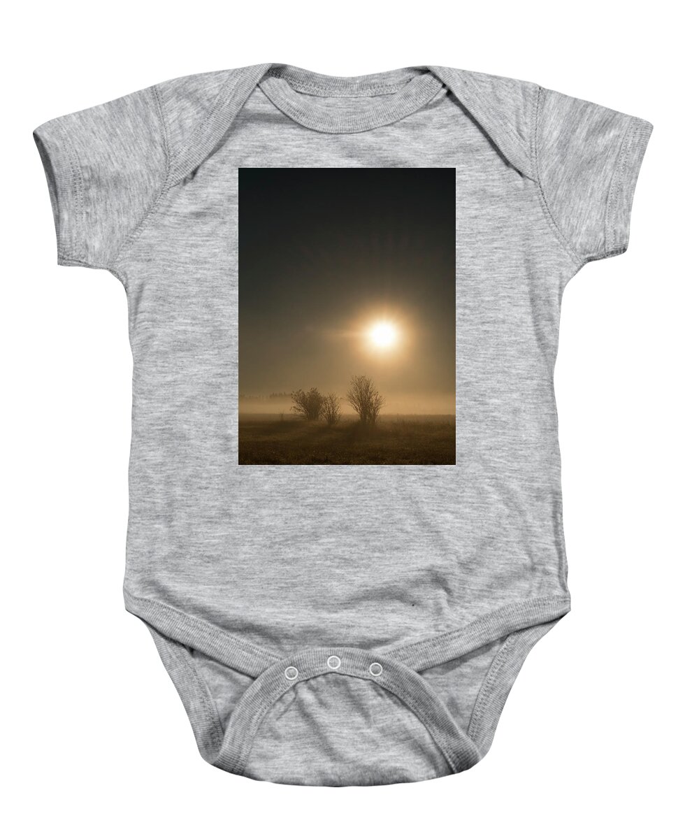 Sun Baby Onesie featuring the photograph Renaissance Light on Misty Field by Mary Lee Dereske