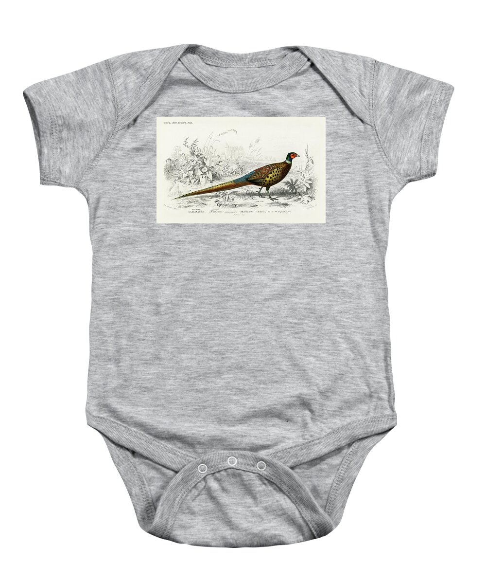 Ring-necked Pheasant Baby Onesie featuring the mixed media Ring-necked Pheasant by World Art Collective