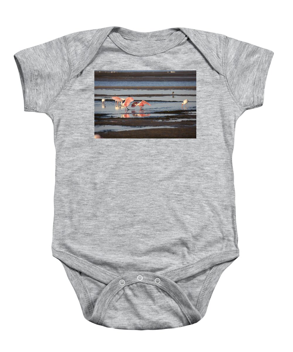 Roseate Spoonbill Baby Onesie featuring the photograph Roseate Spoonbill Chasing Each Other by Mingming Jiang
