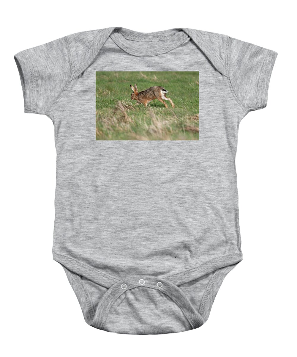 Brown Hare Baby Onesie featuring the photograph Running By by Mark Hunter