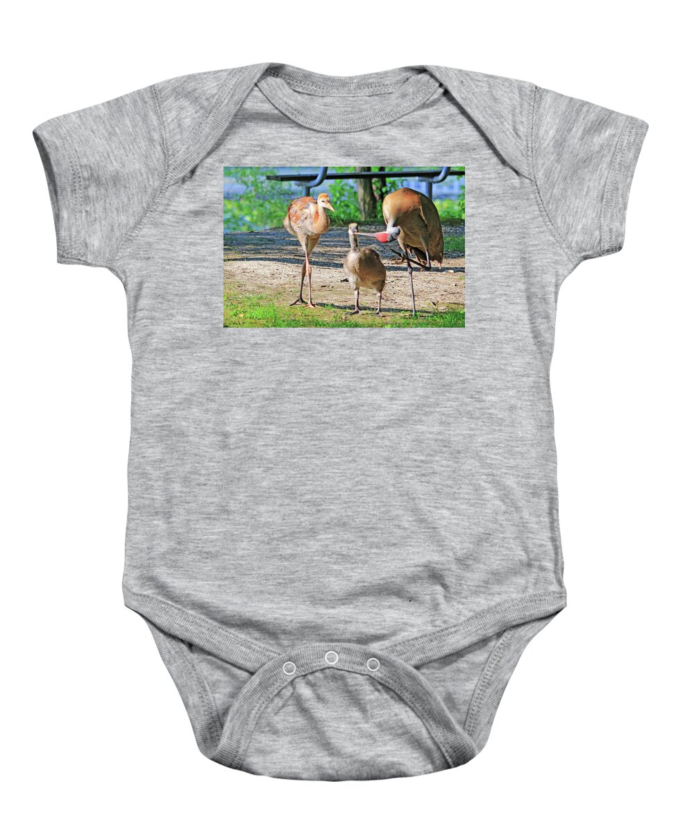 Sandhill Crane Baby Onesie featuring the photograph Sandhill Crane Feeding an Adopted Canada Goose Gosling by Shixing Wen