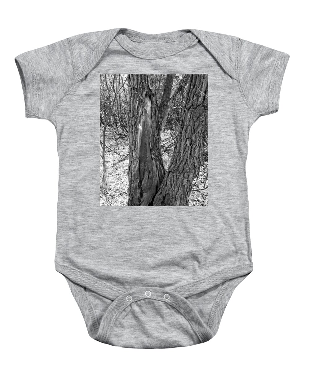 Scar Baby Onesie featuring the photograph Scarred Tree by Amanda R Wright