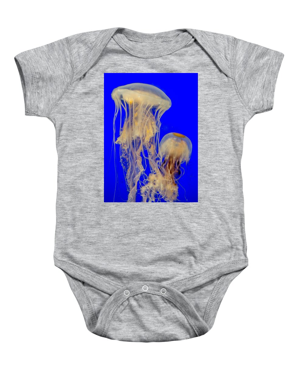 Sea Nettle Baby Onesie featuring the photograph Sea Nettles by WAZgriffin Digital