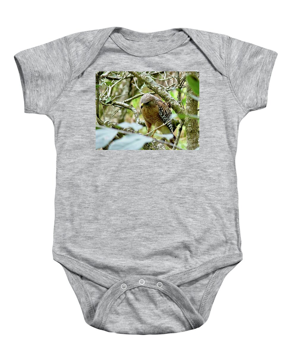 Hawk Baby Onesie featuring the photograph Searching For A Meal by Linda Brittain