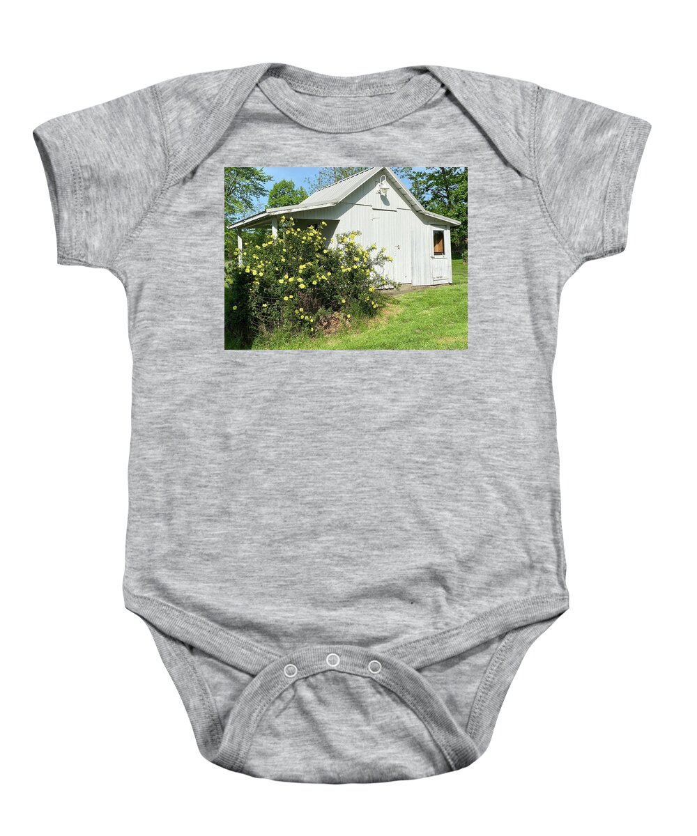  Baby Onesie featuring the painting Shed by Anitra Boyt
