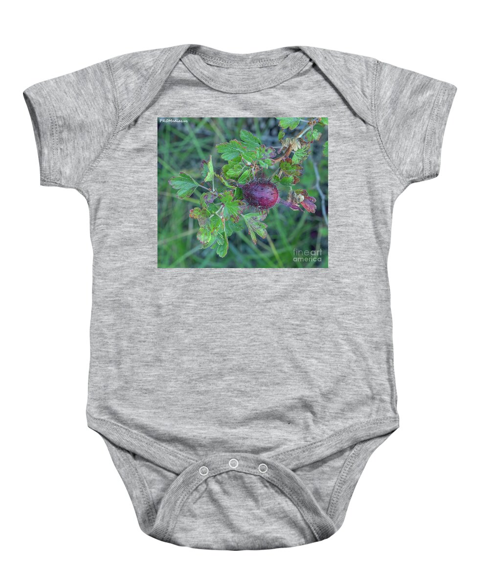 Nature Baby Onesie featuring the photograph sierra gooseberry, El Dorado National Forest, California, U.S.A. by PROMedias US