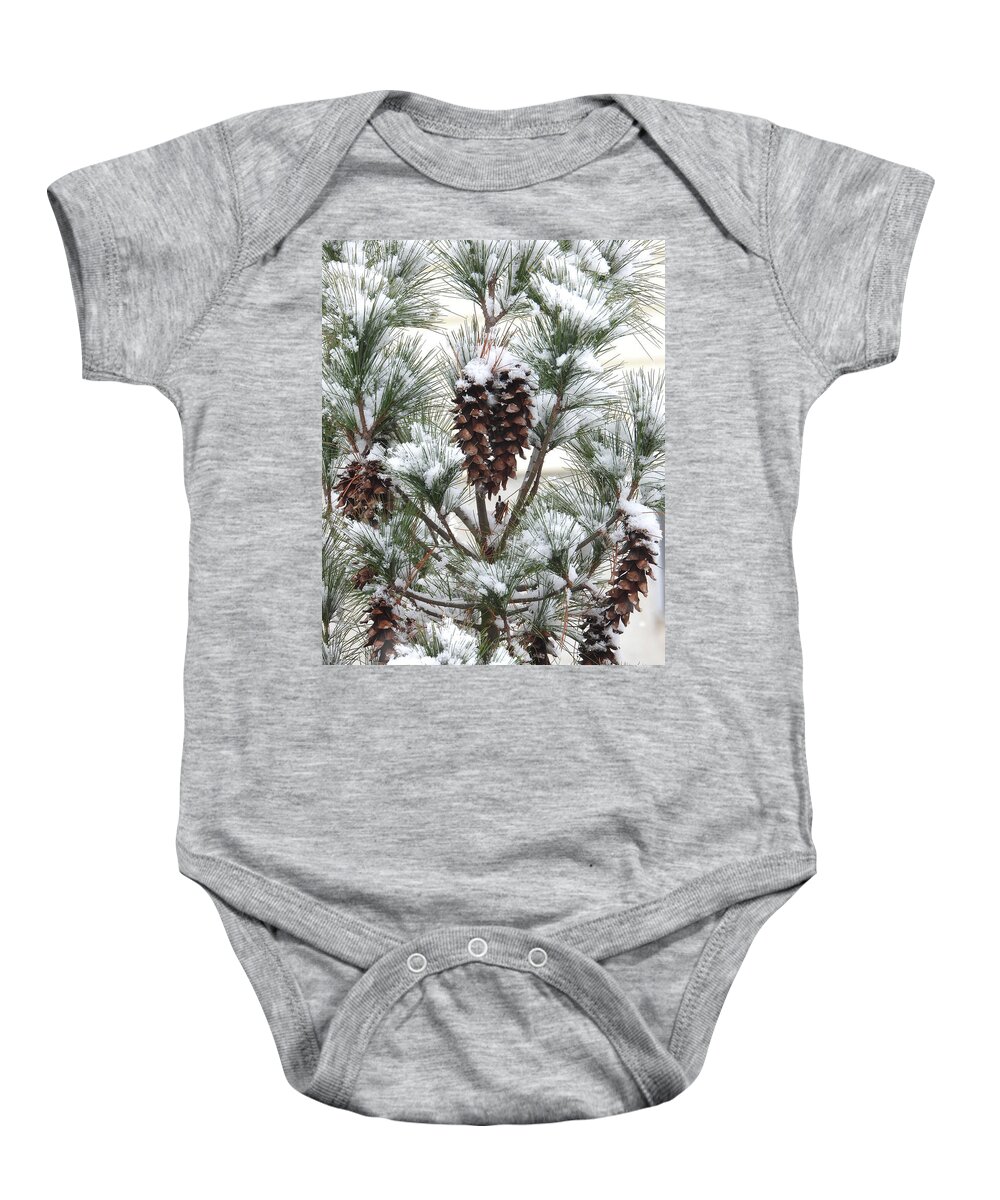 Pinecones Baby Onesie featuring the photograph Simplicity Is Elegance by Living Color Photography Lorraine Lynch