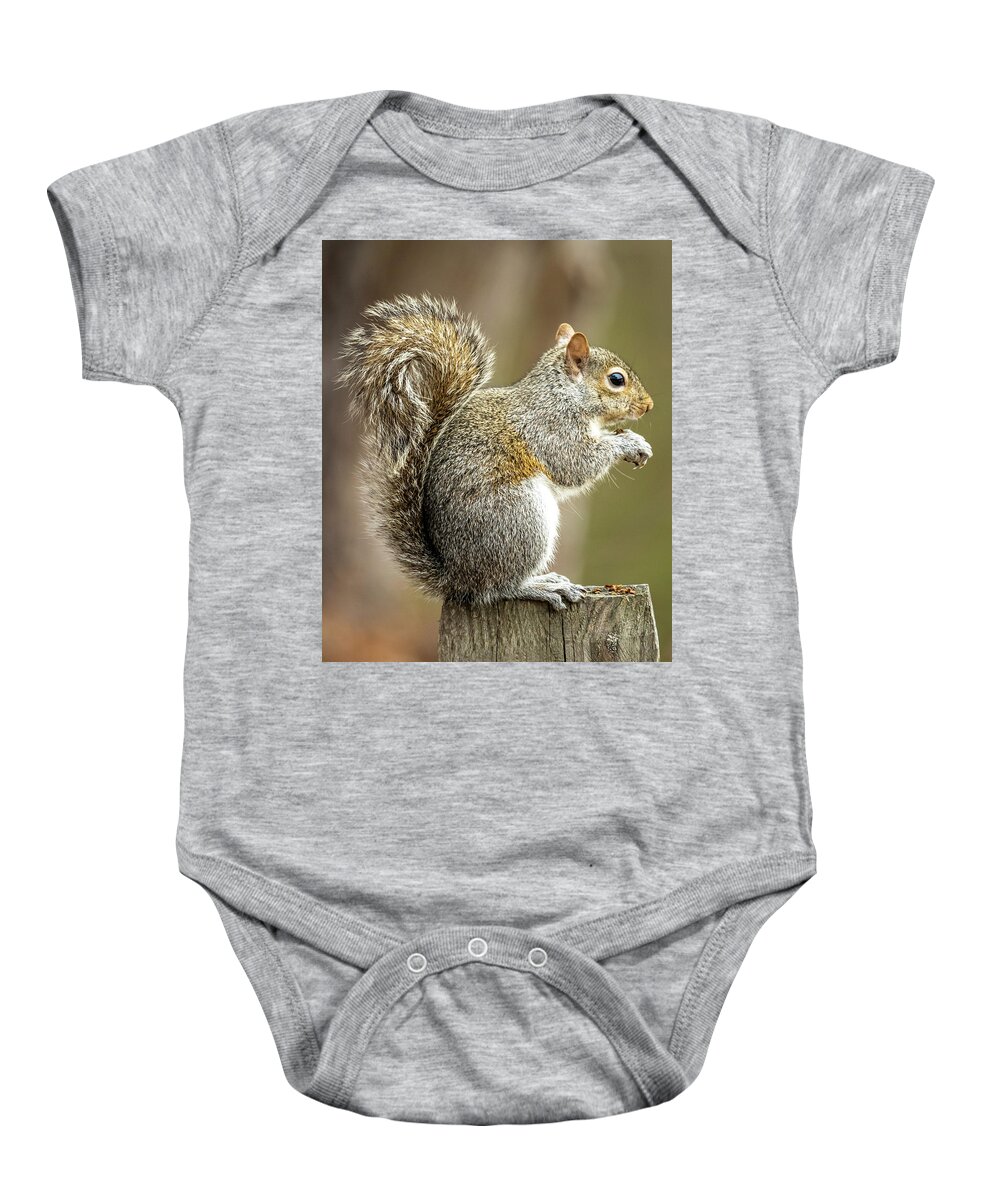 Squirrel Baby Onesie featuring the photograph Snack Time by Rick Nelson