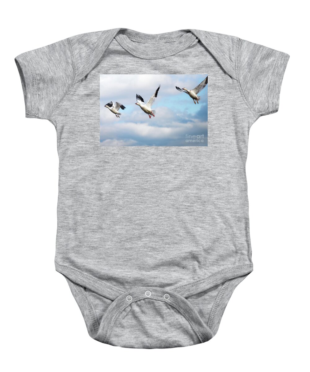 Winter Baby Onesie featuring the photograph Snow geese in flight by Rehna George
