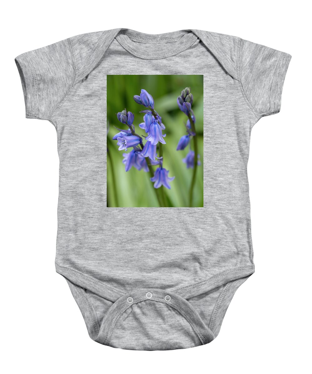 Flower Baby Onesie featuring the photograph Spanish Bluebells 3 by Dawn Cavalieri