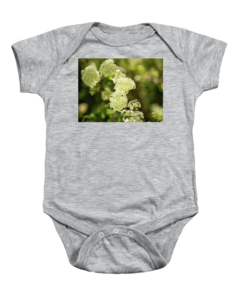 Spring Baby Onesie featuring the photograph Spiraea cantoniensis by Average Images