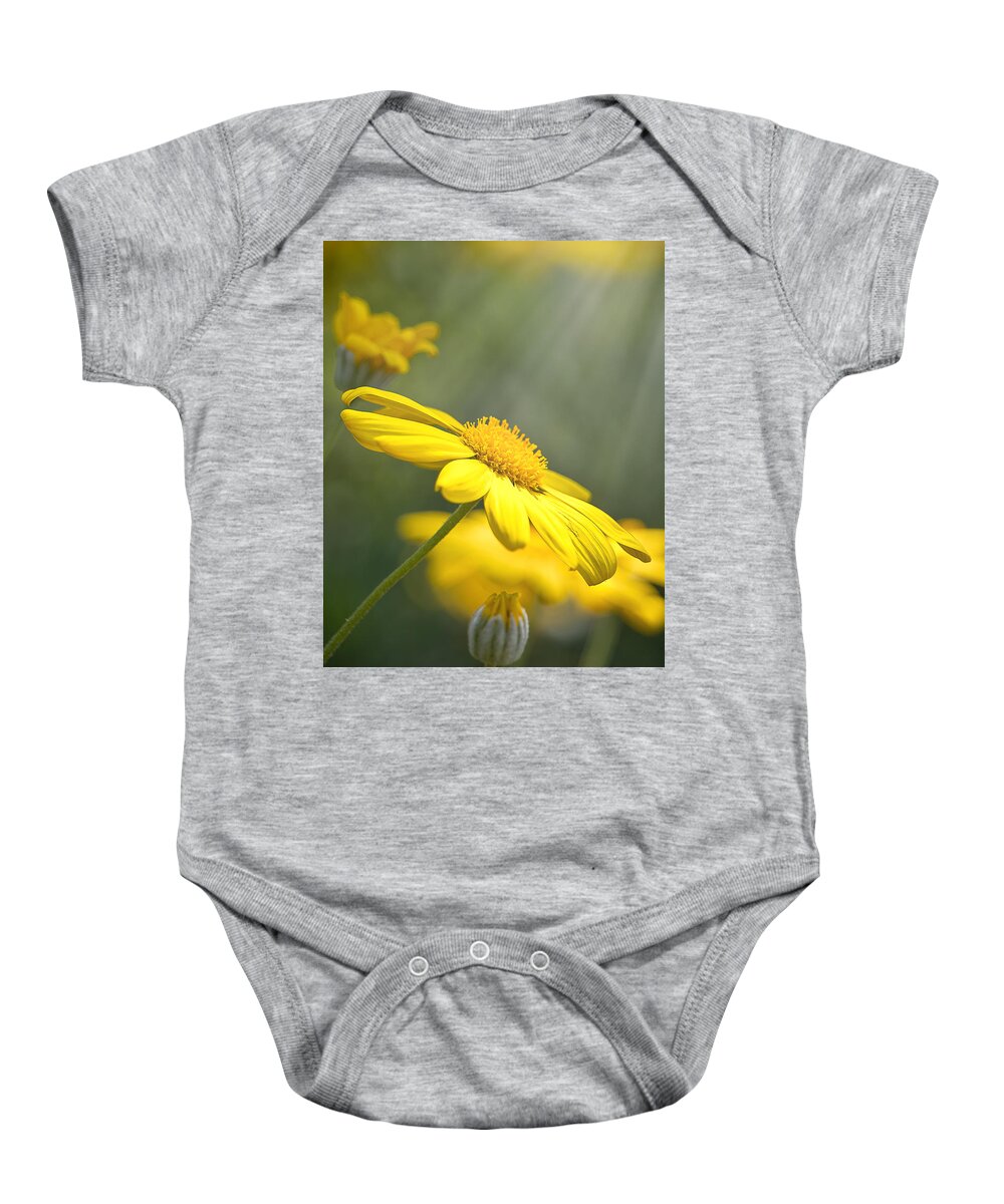 Background Baby Onesie featuring the photograph Spring Bloom by Rick Nelson