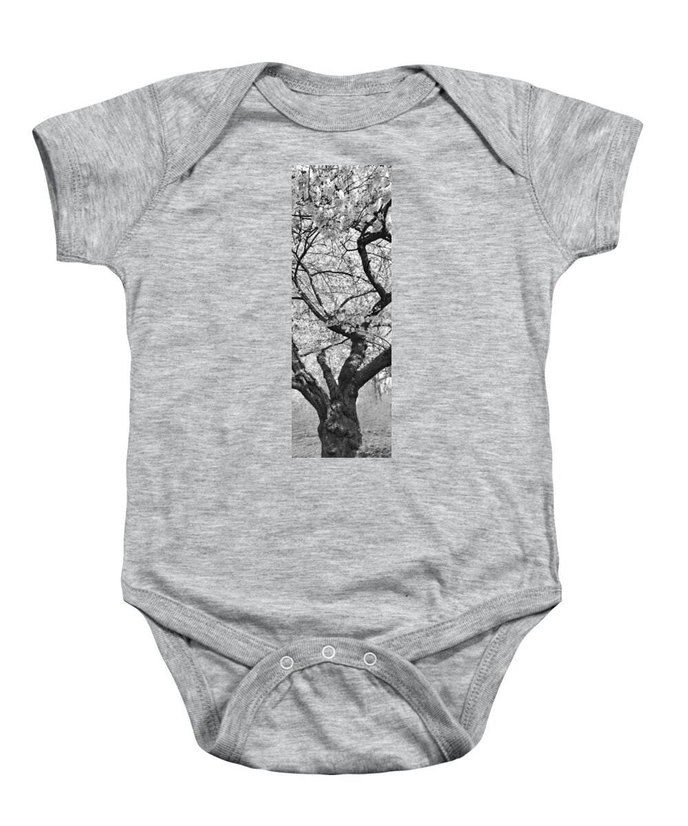Cherry Trees Baby Onesie featuring the photograph Spring - Shades of Spring by Mike Savad