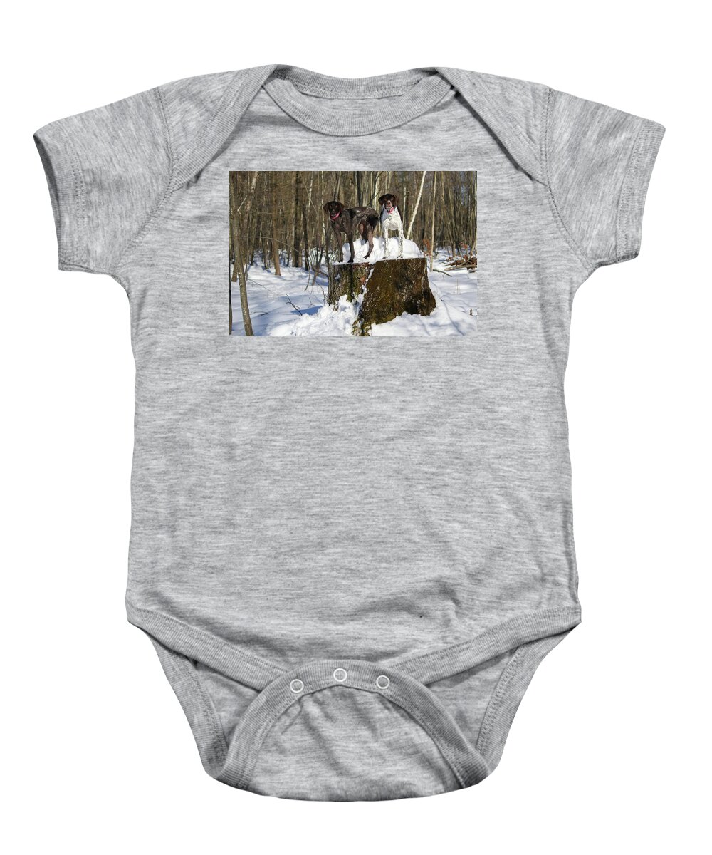 German Shorthair Baby Onesie featuring the photograph Stumped Dogs by Brook Burling