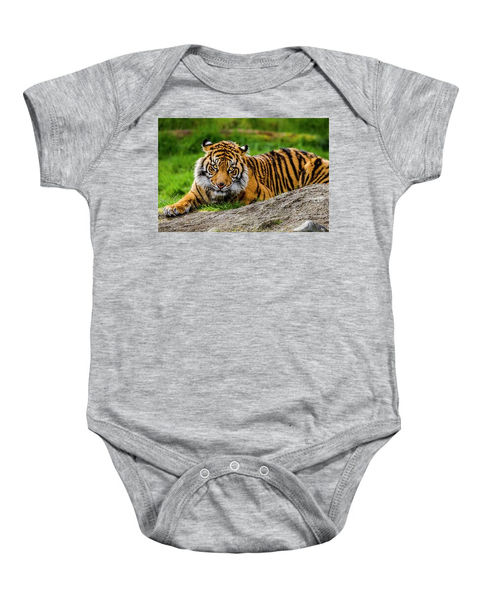 Pt. Baby Onesie featuring the photograph Sumatran Tiger 4 by Rob Green