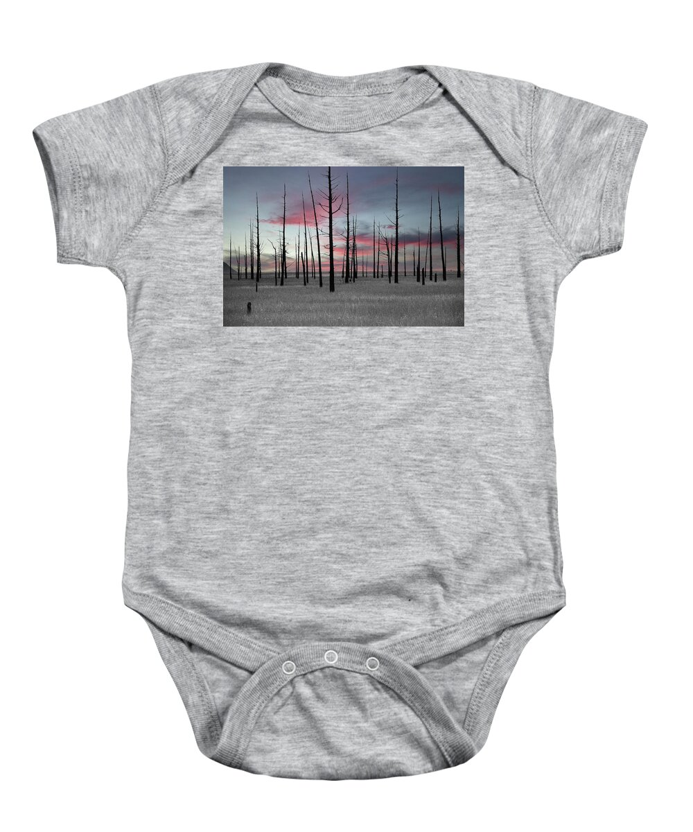 Art Baby Onesie featuring the photograph Sunset in the Cedar Swamp by Louis Dallara