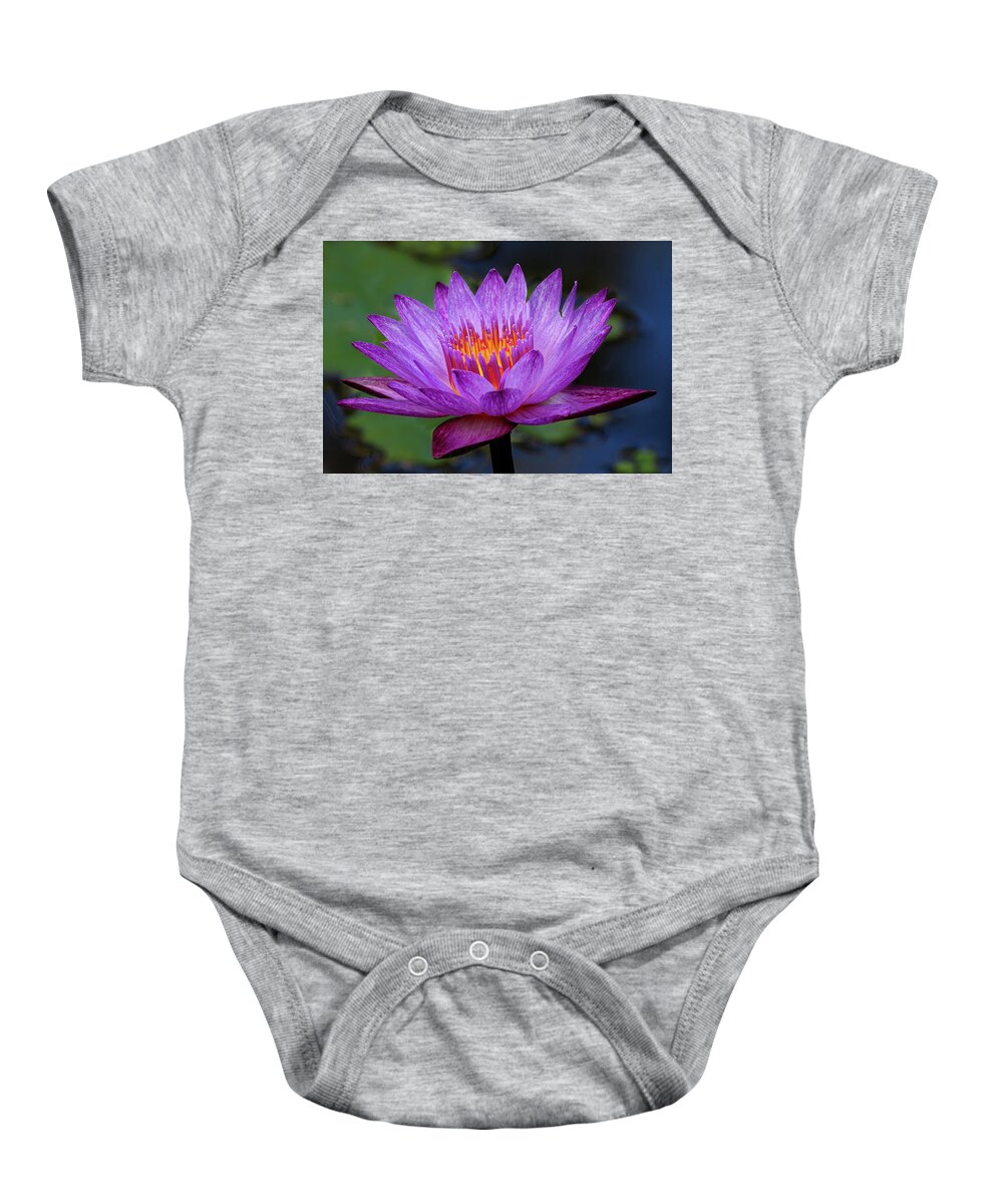 Lily Baby Onesie featuring the photograph Surprise by Les Greenwood