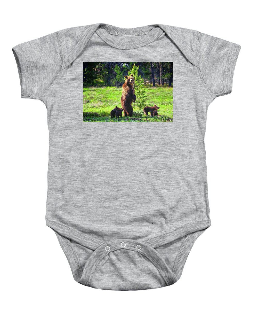 Grizzly 399 Baby Onesie featuring the photograph Survey the Surroundings by Greg Norrell