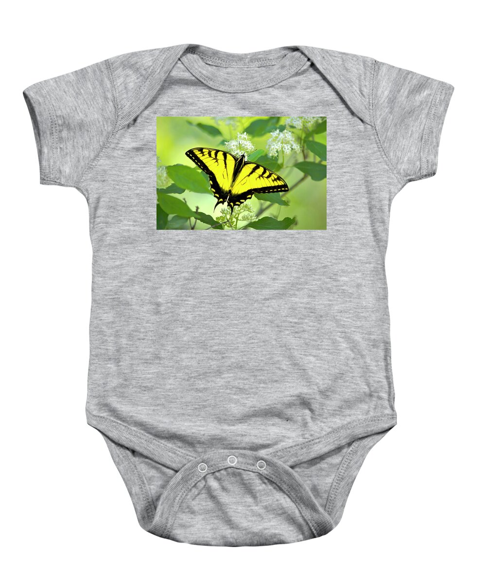 Swallowtail Butterfly Baby Onesie featuring the photograph Swallowtail Butterfly Feeding on Flowers by Christina Rollo