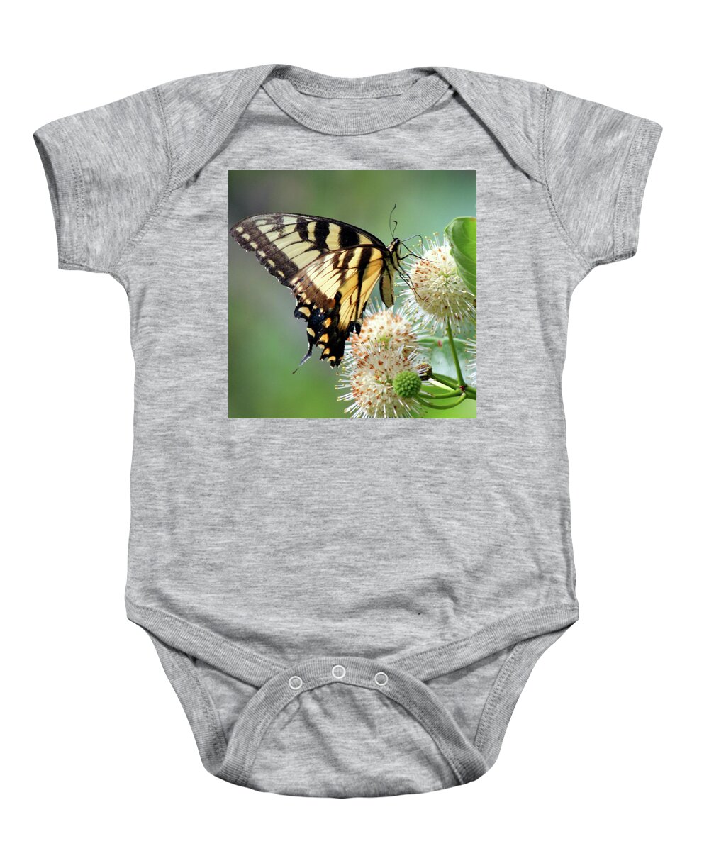 Butterfly Baby Onesie featuring the photograph Swallowtail by Carolyn Stagger Cokley
