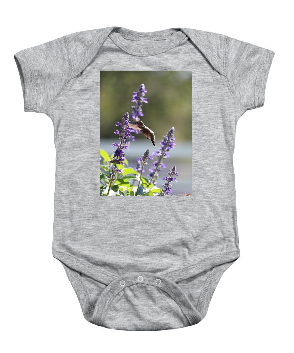 Hummingbird Baby Onesie featuring the photograph Sweet Hummingbird in the Salvia by Carol Groenen