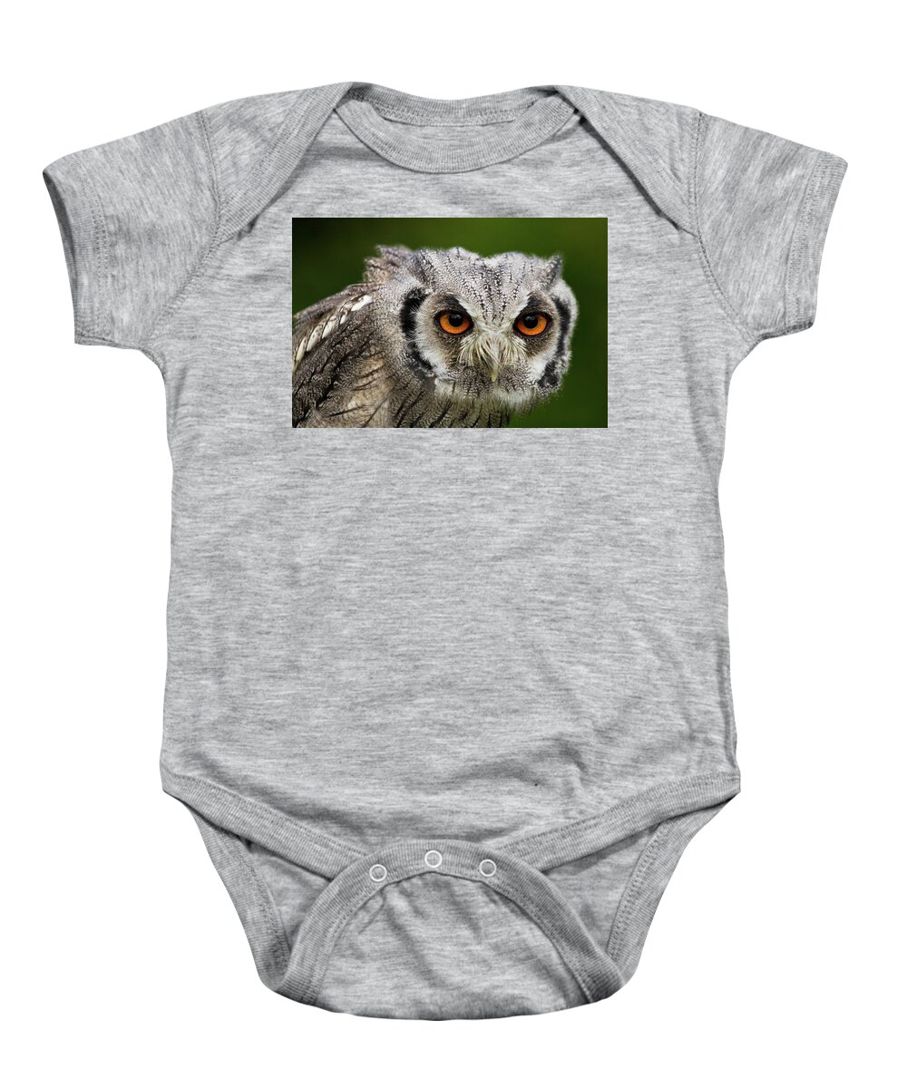 Animal Baby Onesie featuring the photograph Swf-5484 by Miles Herbert