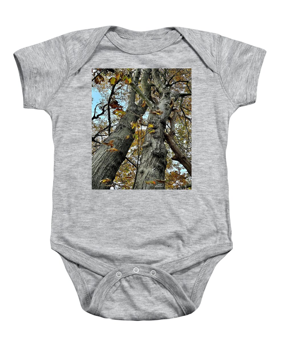 Trees Baby Onesie featuring the photograph Tall Autumn Trees by CAC Graphics