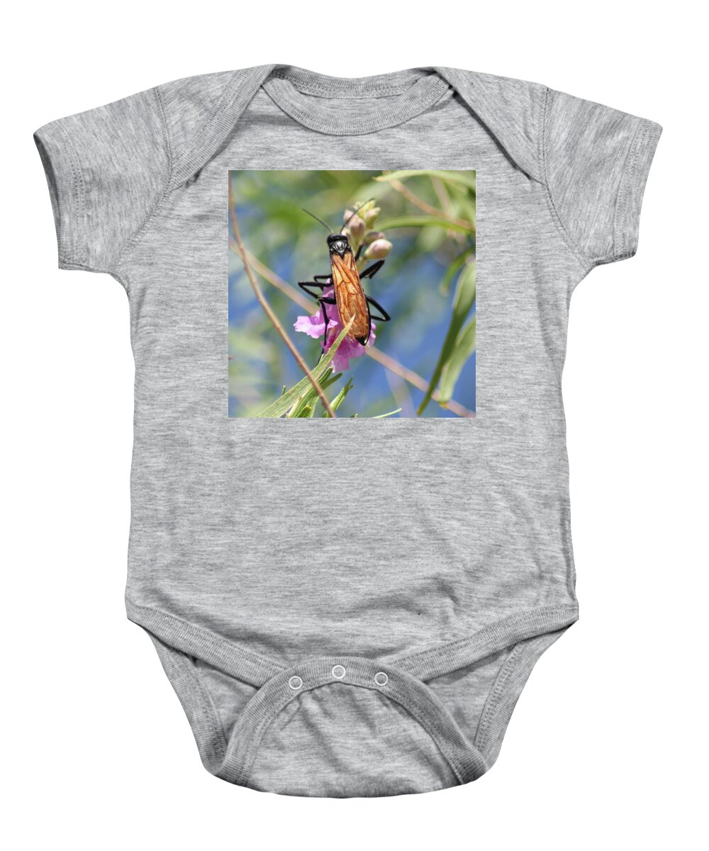 Tarantula Hawk Wasp Baby Onesie featuring the photograph Tarantual HAwk Wasp by Perry Hoffman