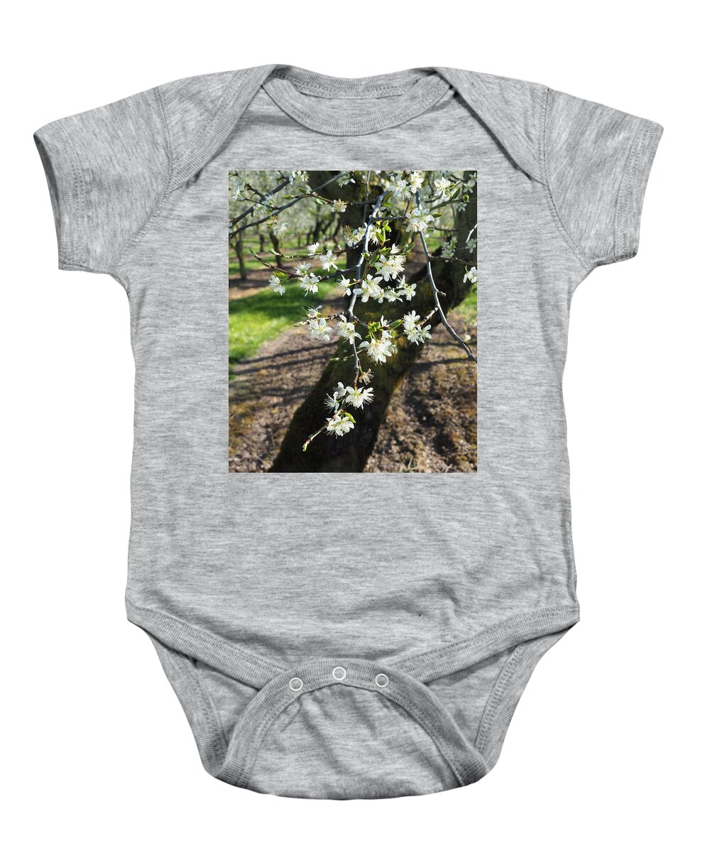 Plums Baby Onesie featuring the photograph The Fragile Nature of Farming by Leslie Struxness