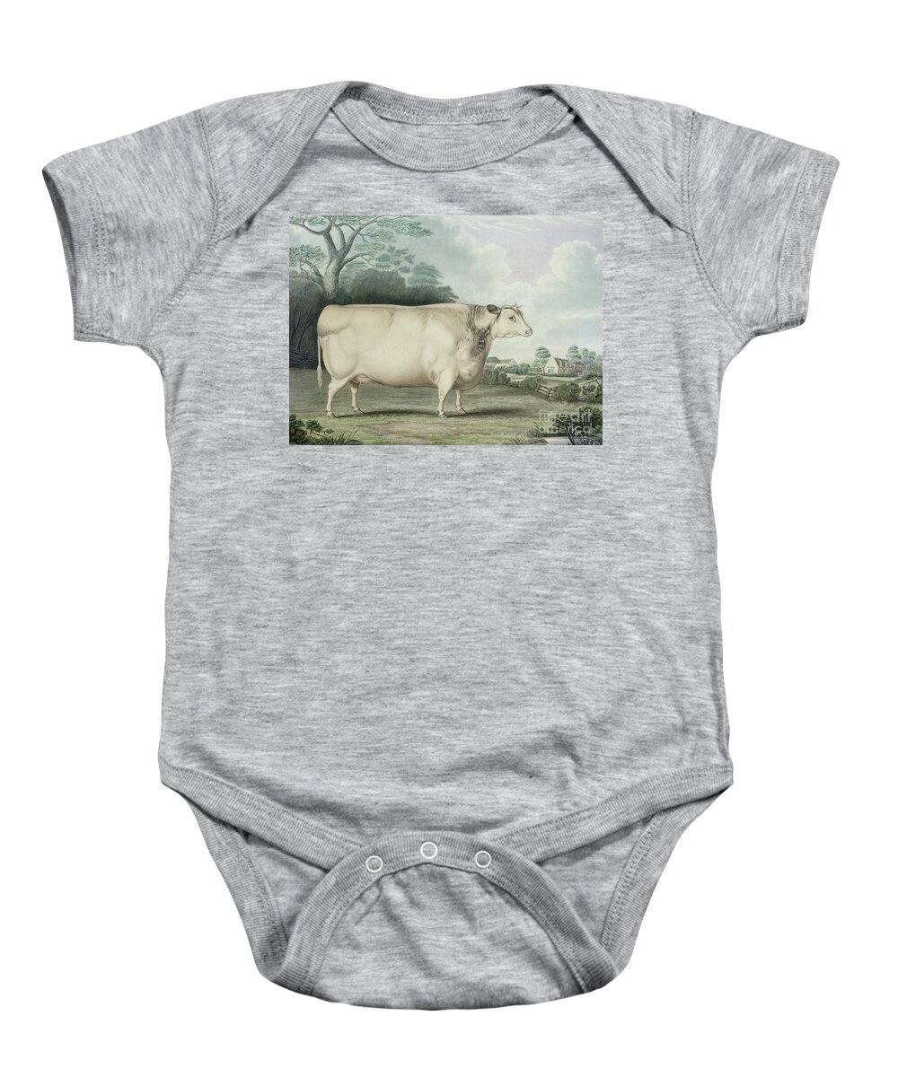 Agriculture Baby Onesie featuring the painting The Habertoft Short Horned Prize Cow by B Hubbard