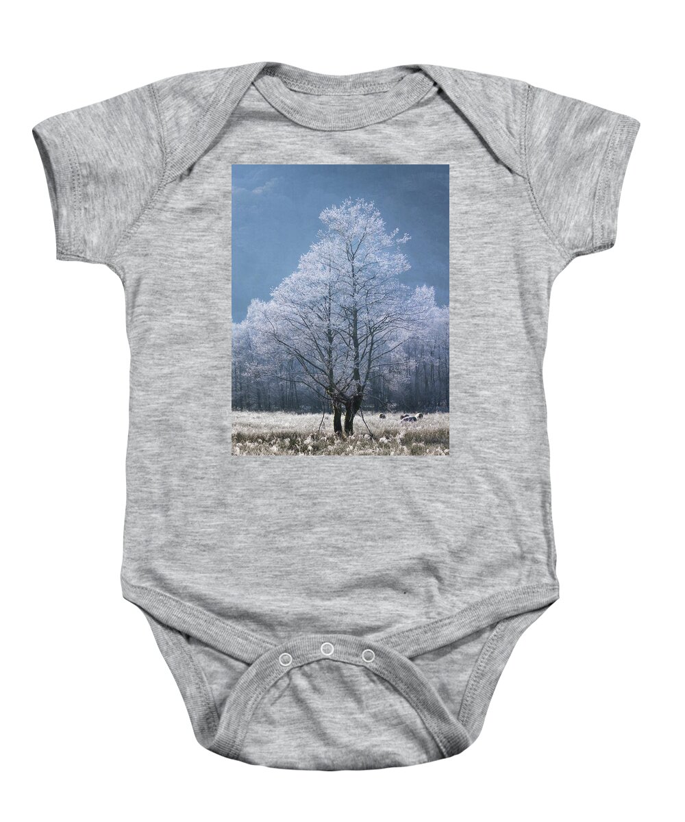  Baby Onesie featuring the photograph The Ice Dancers - portrait by Anita Nicholson
