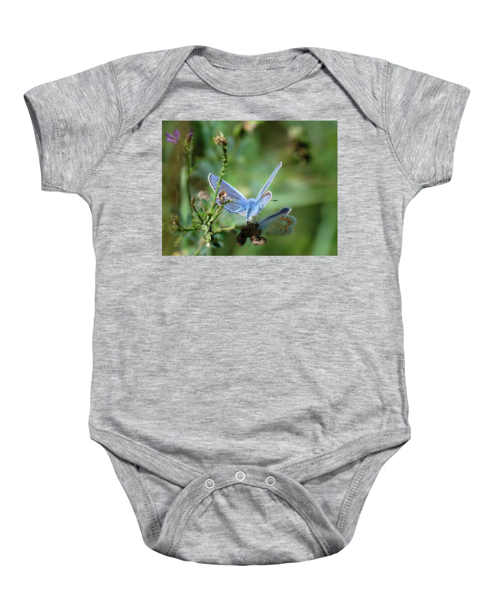 Lac Fauvel Baby Onesie featuring the photograph The Mirrors Butterfly by Carl Marceau