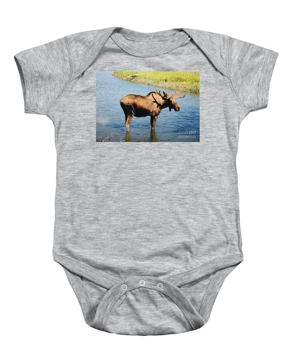 Alaska Baby Onesie featuring the photograph The Moose by Doug Gist