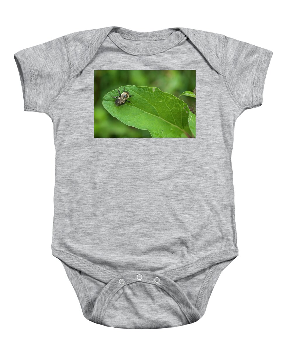Blue Ridge Mountains Baby Onesie featuring the photograph The Pollinator by Melissa Southern