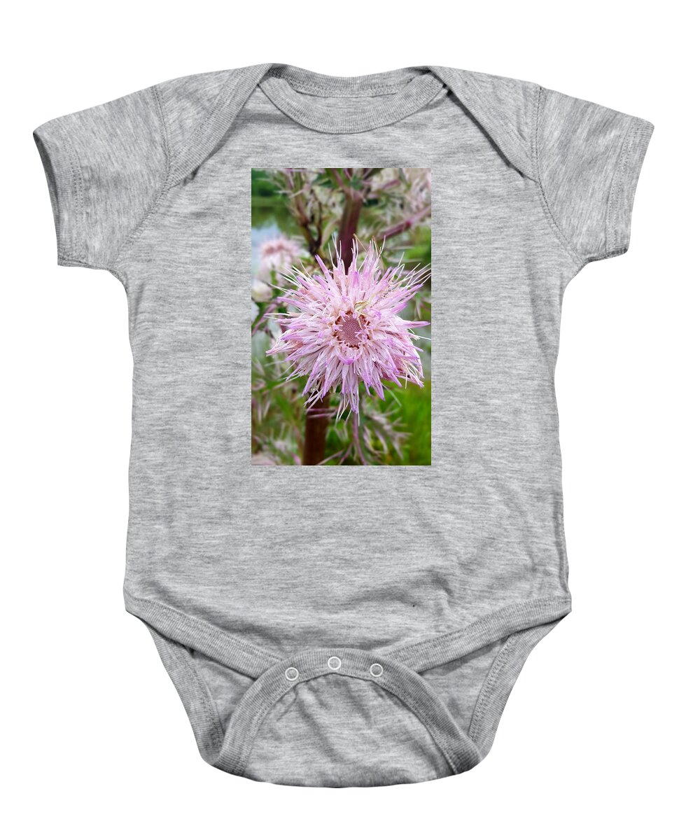 Secret Wildflower Baby Onesie featuring the photograph The Wildflower's Secret by Pamela Smale Williams