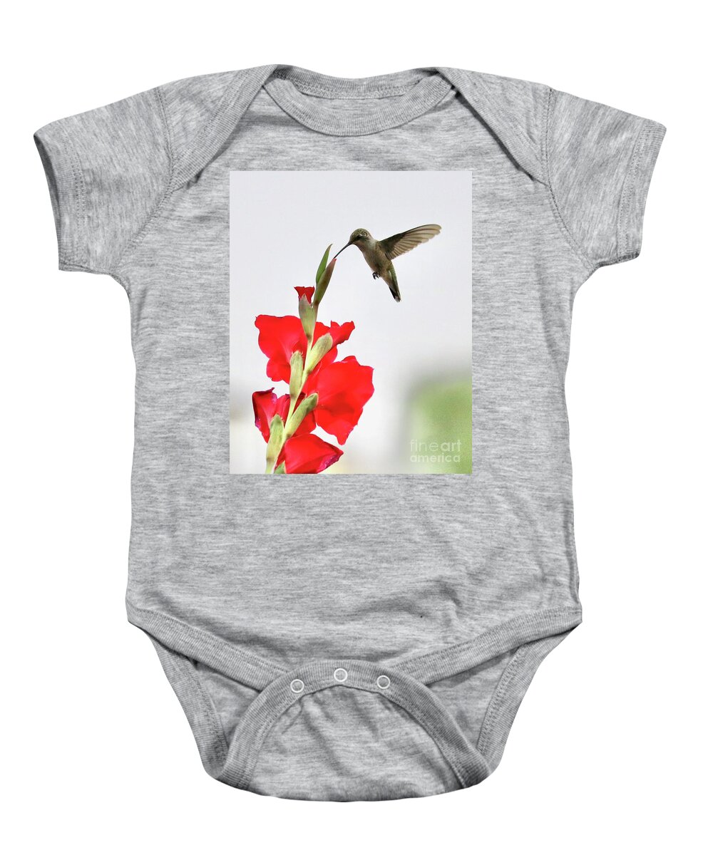 Hummingbird Baby Onesie featuring the photograph Tip Top Hummingbird by Carol Groenen