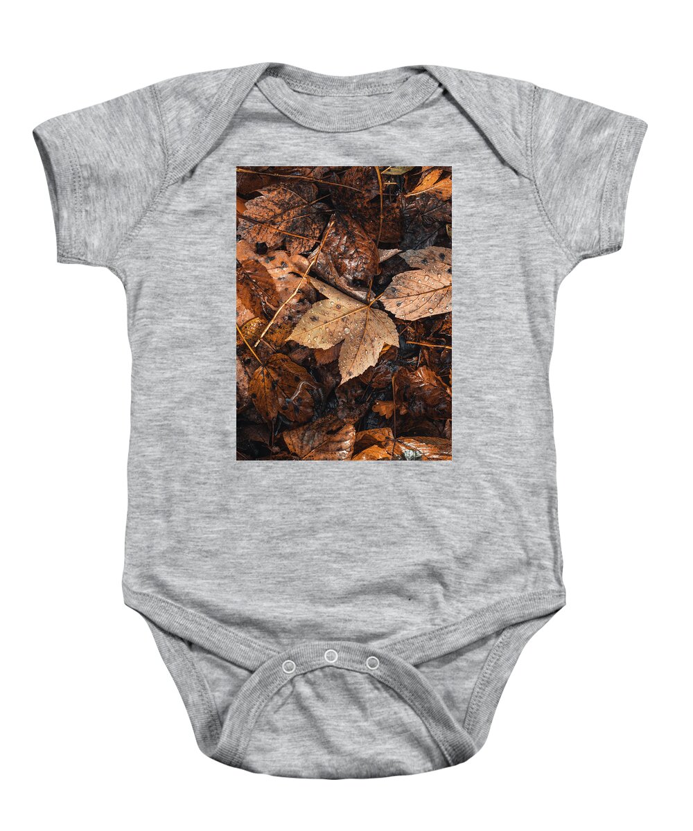 Colors Baby Onesie featuring the photograph Touch of colorful autumn by Vaclav Sonnek