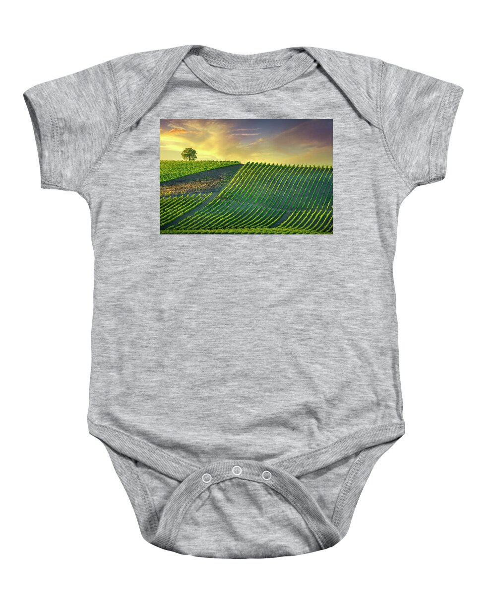 Vineyard Baby Onesie featuring the photograph Tree and Vineyards at Sunset. Castellina in Chianti by Stefano Orazzini
