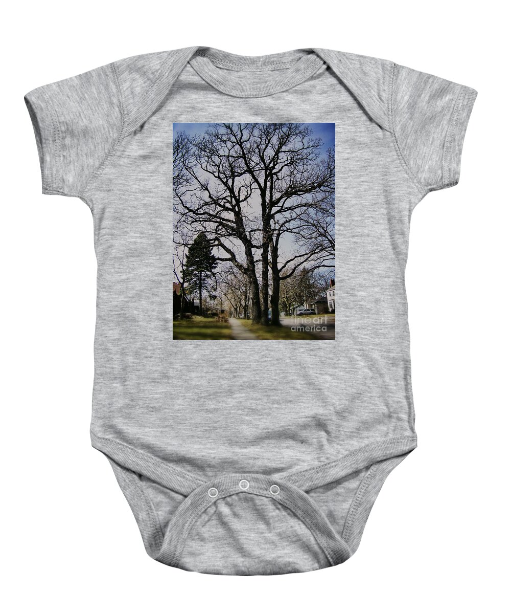 Landscape Baby Onesie featuring the photograph Tree Branches Stretch Into the Sky by Frank J Casella