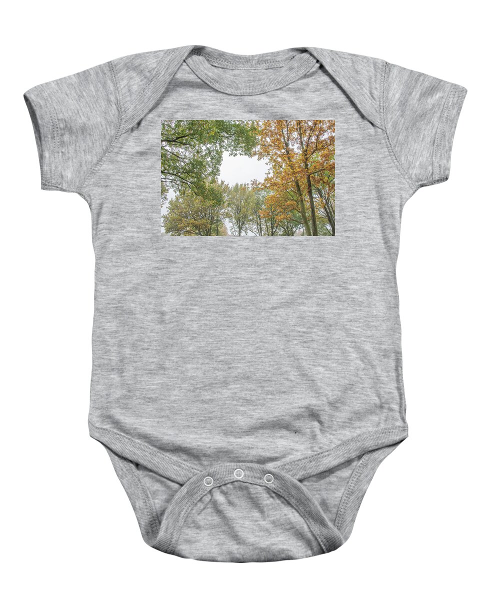 Trent Park Baby Onesie featuring the photograph Trent Park Trees Fall 11 by Edmund Peston