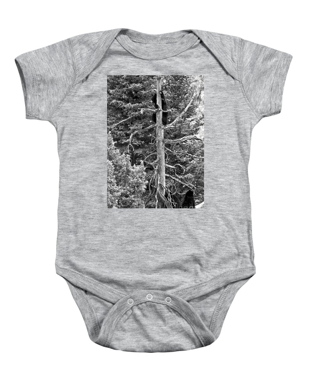 Black Bears Baby Onesie featuring the photograph Trio In The Tree Tops Of Yellowstone Black And White by Adam Jewell