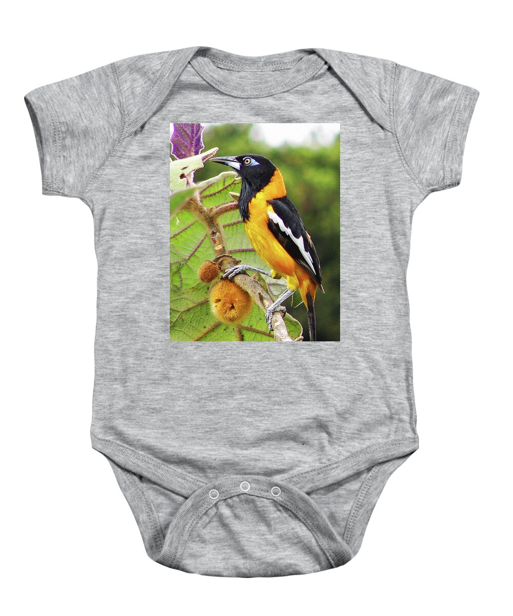 Oriole Baby Onesie featuring the photograph Troupial Oriole by Blair Wainman